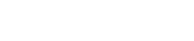 Viseport logo